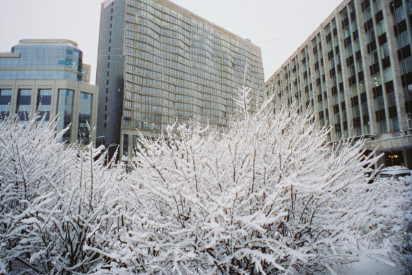 Snow Removal Commercial Services Monument Colorado