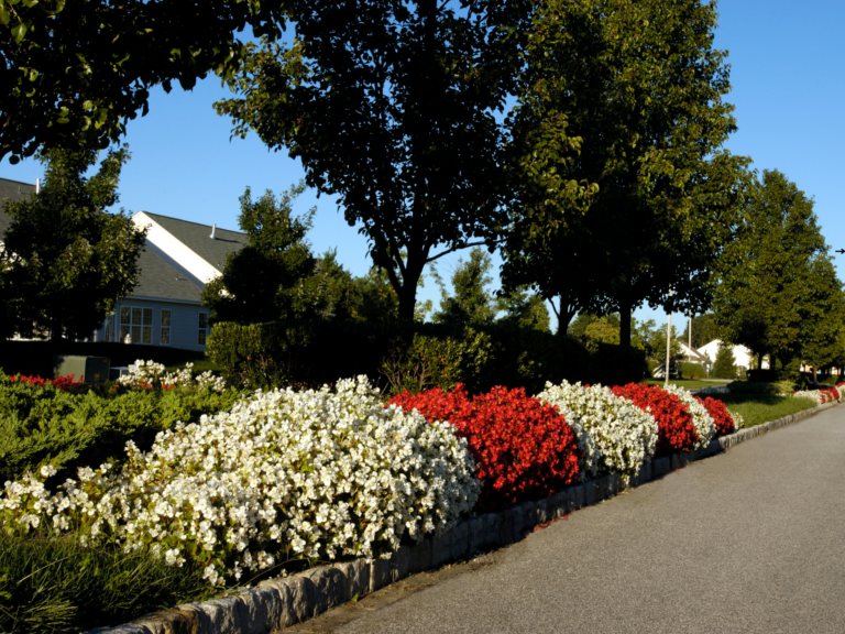 Vistacraft Landscaping Design Commercial Landscaping Maintenance Services 2